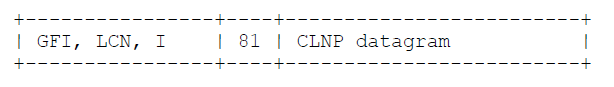 Multiplexed CLNP datagram