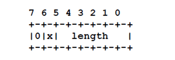 NTL format for IPv6/ATM