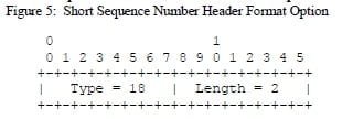 Short Sequence Number Header Format Option