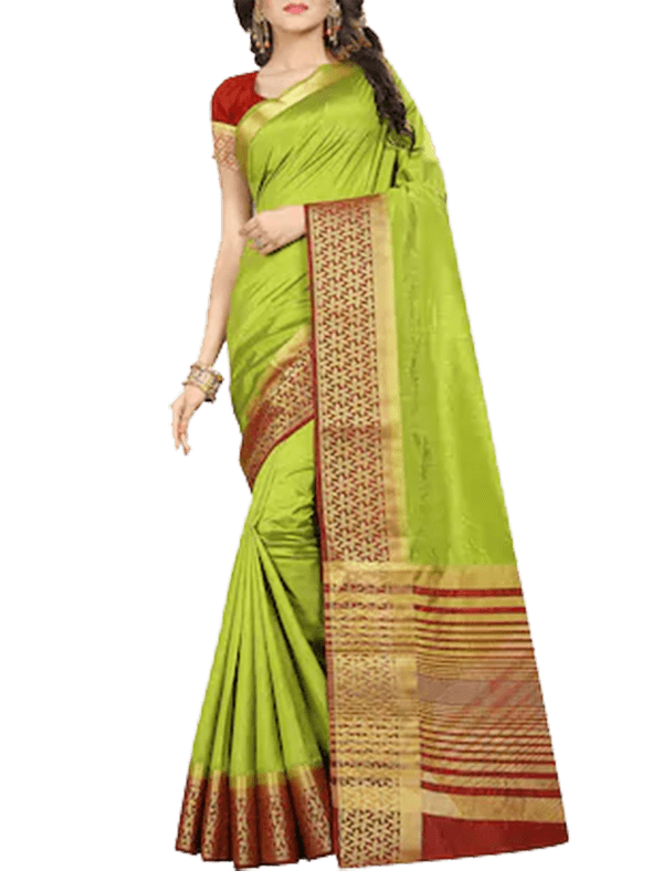 Contrast Floral Zari Border Kanjivaram Saree With Blouse
