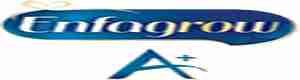 enfagrow Logo