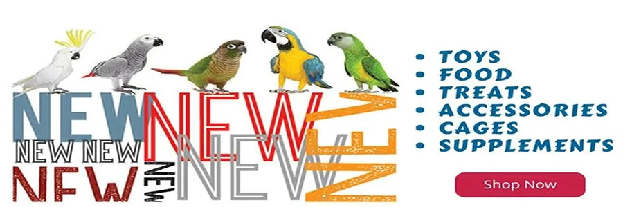 parrotessentials Banner