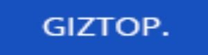 Giztop Logo