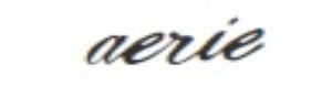 American Eagle Outfitters Logo