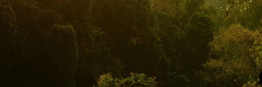 airinum Banner