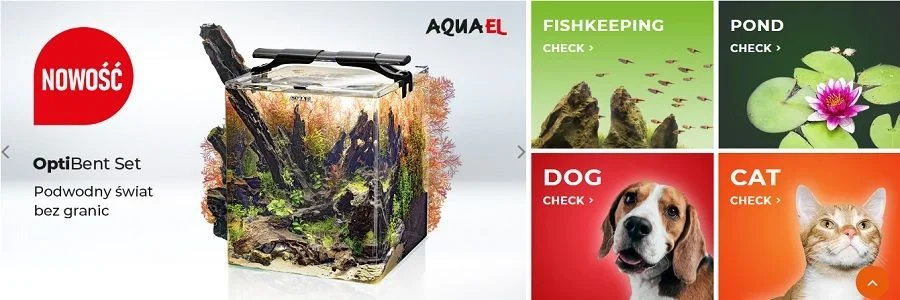 aquaelzoo Banner