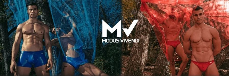 Vocla Banner