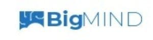 BigMIND