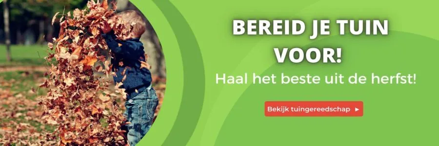 2dekansje Banner