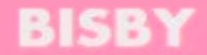 bisbykids logo