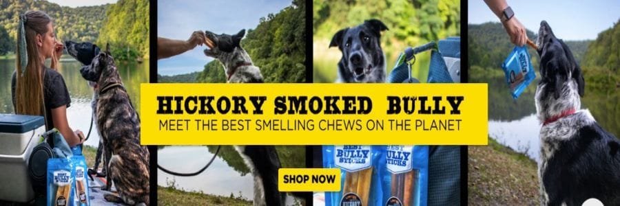 Best Bully Sticks Banner