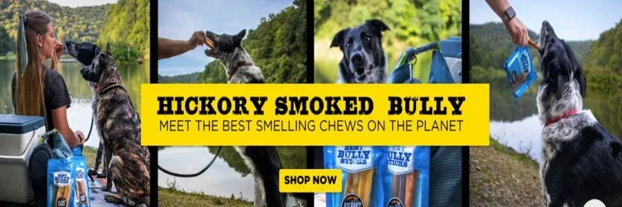 Best Bully Sticks Banner