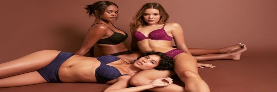 Victoria Secret Banner