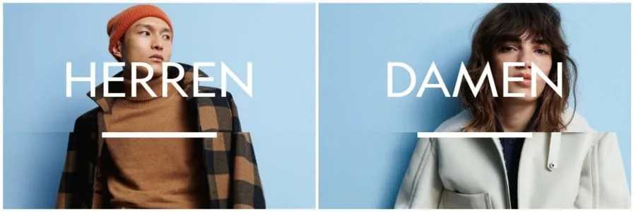 robert-ley Banner