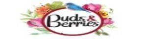 Buds and Berries Logo