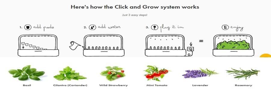 Click & Grow Banner
