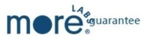morelabs Logo