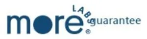 morelabs logo