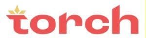 Torch Enterprise Logo
