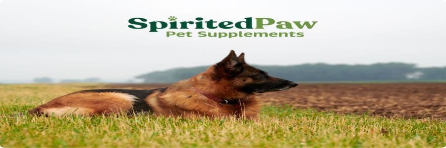 spiritedpaw Banner