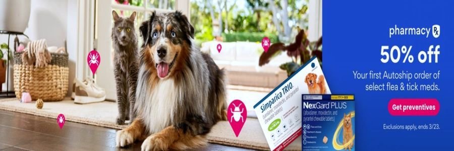 Chewy Banner