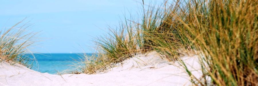 Toms Holidays Banner